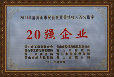 2011SɽII(y)IN20(qing)I(y)